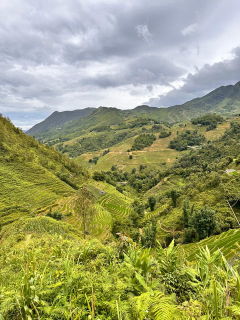 Explore Sapa by TrekkingAdventures, Mountain,Rice fields - Is $23 good value?