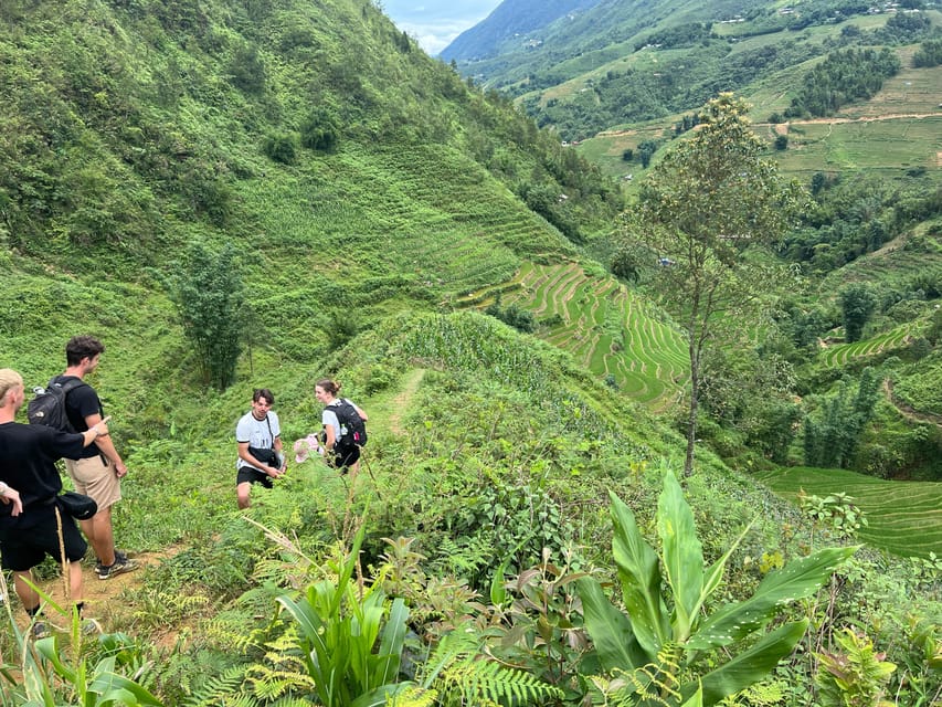 Explore Sapa by TrekkingAdventures, Mountain,Rice fields - Lunch with a view in Lao Chai