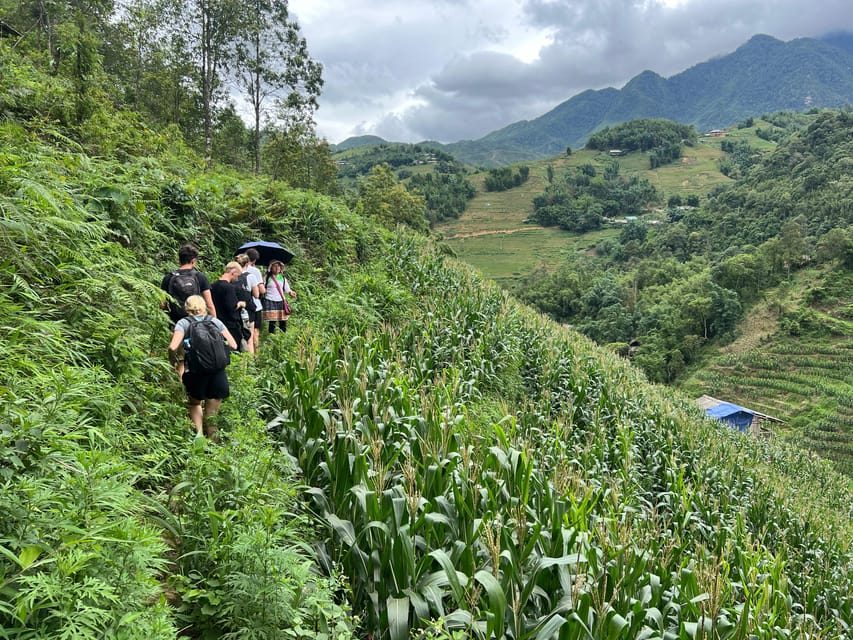 Explore Sapa by TrekkingAdventures, Mountain,Rice fields - Starting from Sapa and heading toward Y Linh Ho