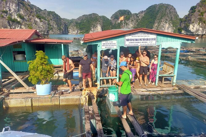 From Ha Noi/Cat Ba: Full-Day Cruise to Lan Ha bay - Ha Long Bay - Starting from Cat Ba and reaching Beo Pier