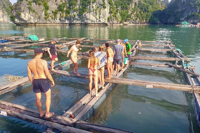 From Ha Noi/Cat Ba: Full-Day Cruise to Lan Ha bay - Ha Long Bay - Cai Beo fishing village and southern Lan Ha Bay