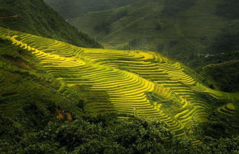 From Hanoi: 1-day Sapa Trekking Tour With Overnight Bus - Key points to know before booking