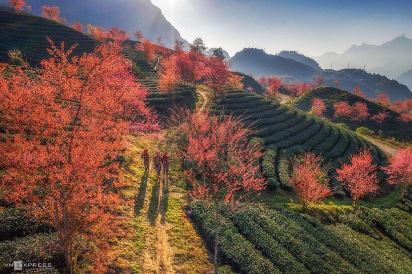 From Hanoi: 1-day Sapa Trekking Tour With Overnight Bus - Returning to Sapa, then straight back to Hanoi