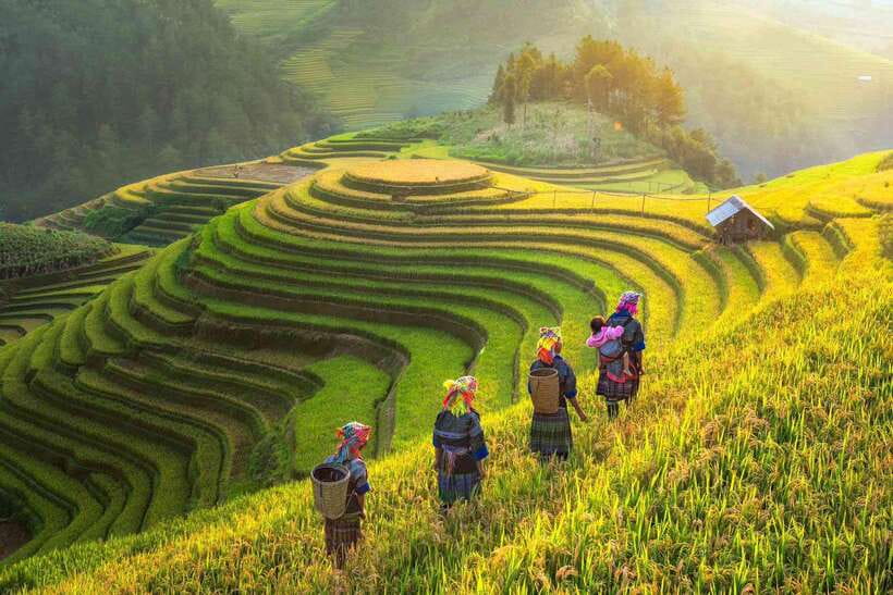 From Hanoi: 1-day Sapa Trekking Tour With Overnight Bus - What the $52 price really includes
