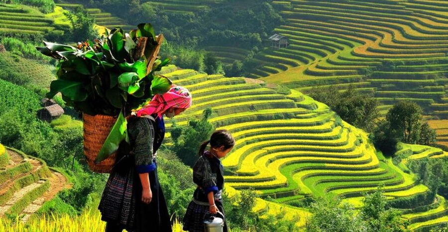 From Hanoi: 2-Day 2-Night Sapa Tour by Overnight Train - Lao Cai to Sapa at 6am