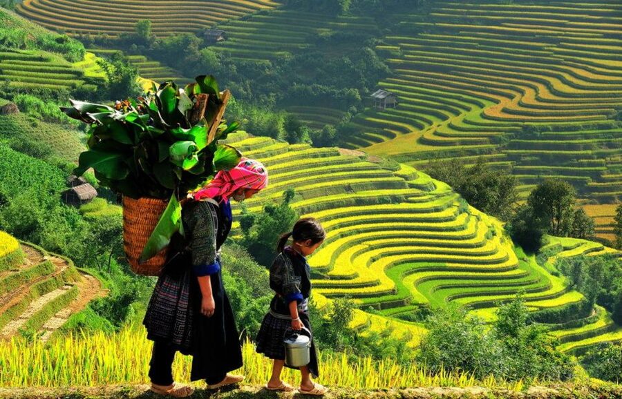 From Hanoi: 2-Day 2-Night Sapa Tour by Overnight Train - How well the organization works