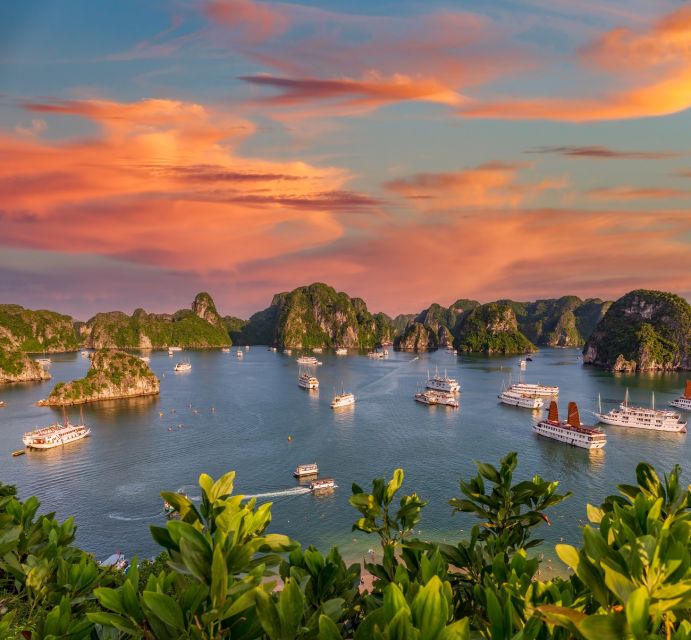 From Hanoi: 2-Day Ha Long Bay Tour with Ninh Binh and Cruise - Luon Cave kayaking and Titop Island swimming