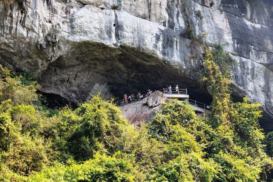 From Hanoi: 2-Day Ha Long Bay Tour with Ninh Binh and Cruise - Trang An by traditional wooden boat
