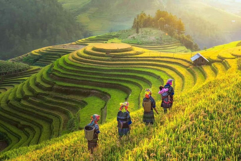 From Hanoi: 2-Day Luxury Sapa Trekking Tour with Homestay - Key points at a glance