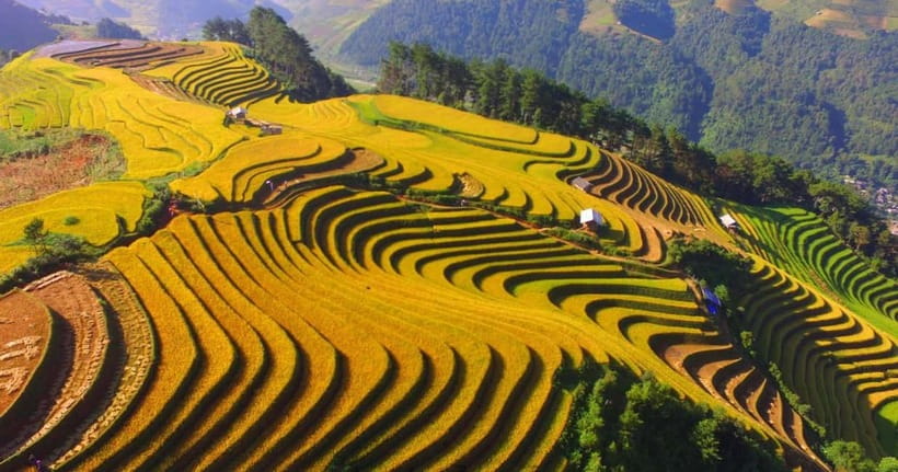 From Hanoi: 2-Day Luxury Sapa Trekking Tour with Homestay - Guide quality makes the biggest difference