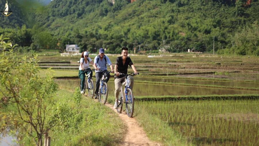 From Hanoi: 2-Day Ninh Binh Tour with Ha Long Bay Cruise - Lunch with Ninh Binh specialties