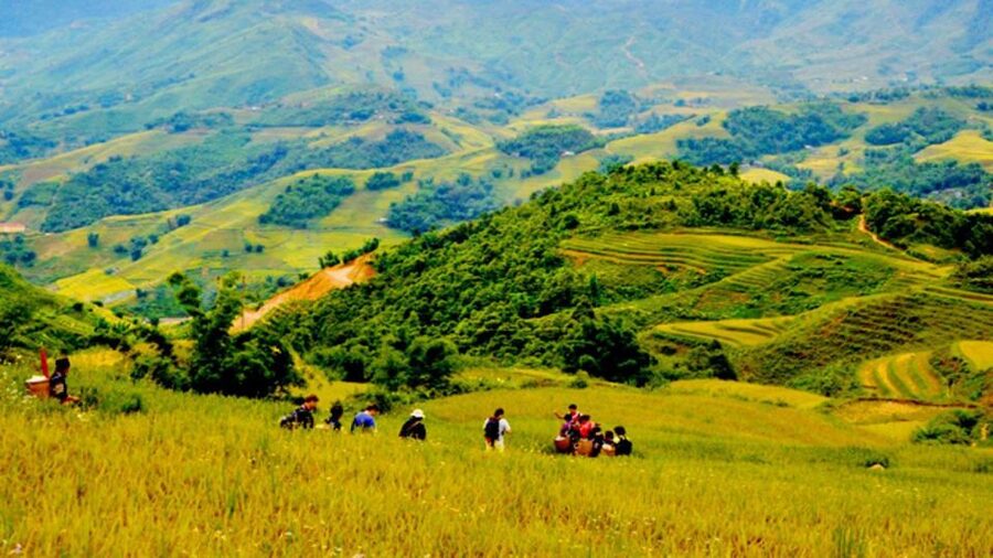 From Hanoi: 2-Day Overnight Sapa Tour by Limousine - Meals, hotel quality, and what the $150 covers