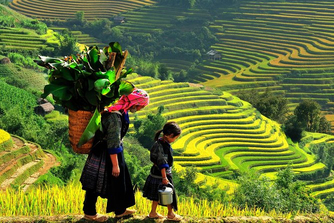 From Hanoi: 2-Day Overnight Sapa Tour by Luxury Van Limousine - Arriving in Sapa and choosing your first walk