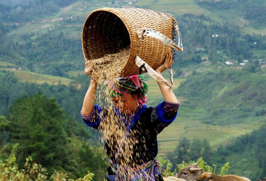 From Hanoi: 2-Day Sapa Cultural Exchange Tour with Homestay - Guides can shape the whole experience