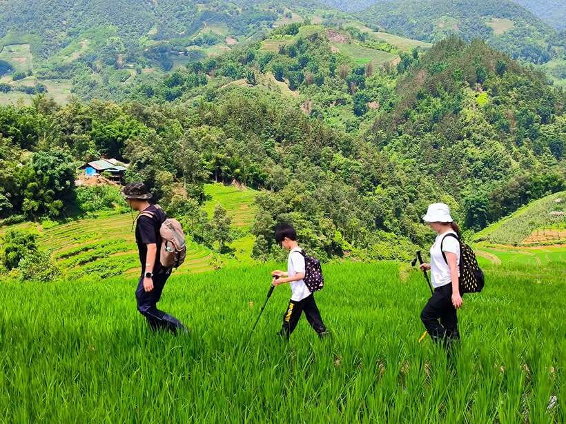 From Hanoi: 2-Day Sapa Trek Tour - Luxury Limousine Transfer - Choosing between a hotel and a homestay