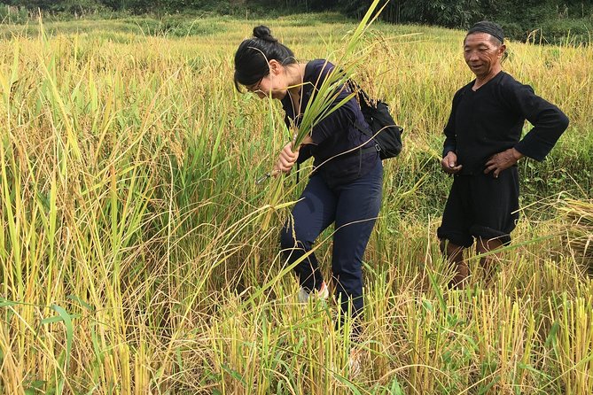 From Hanoi: 2 Days Sapa Trek & Fansipan Adventure with Dcar - Pickup, group size, and physical demands