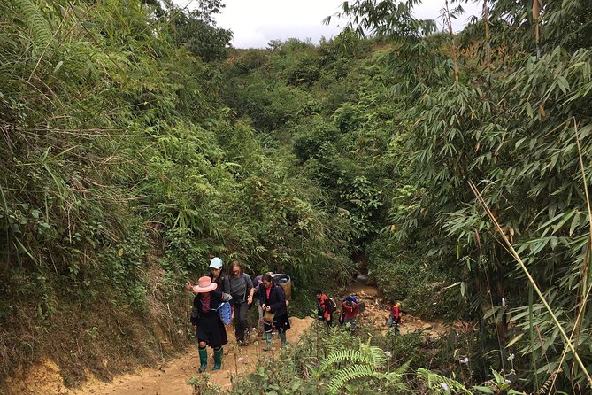 From Hanoi: 3 Days Luxury Sapa Trek & Fansipan Peak with Dcar - Day three: Ham Rong Mountain before the long ride home