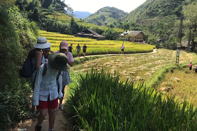 From Hanoi: 3 Days Luxury Sapa Trek & Fansipan Peak with Dcar - The people who make the package work