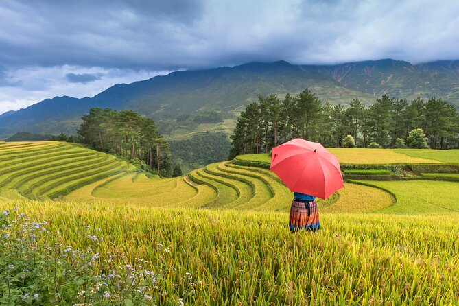 From Hanoi: 3 Days Sapa Trekking & Ethnic Villages by Dcar - Day three: Ham Rong Mountain before the long ride home