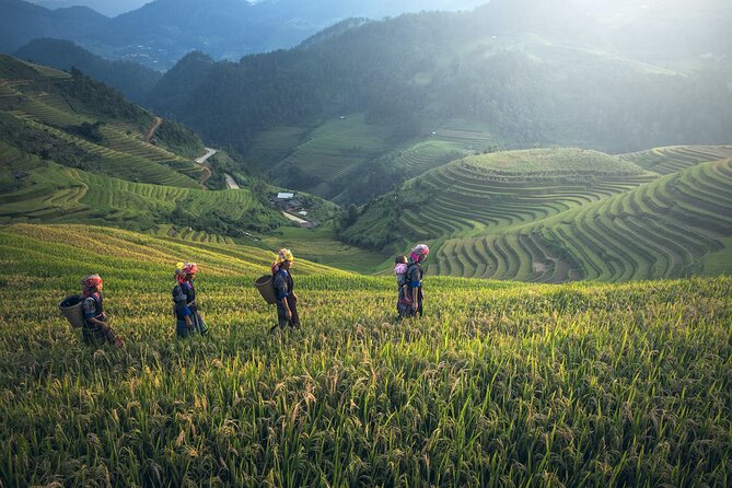 From Hanoi: 3 Days Sapa Trekking & Ethnic Villages by Dcar - Day two: Cat Cat Village and your Fansipan choice