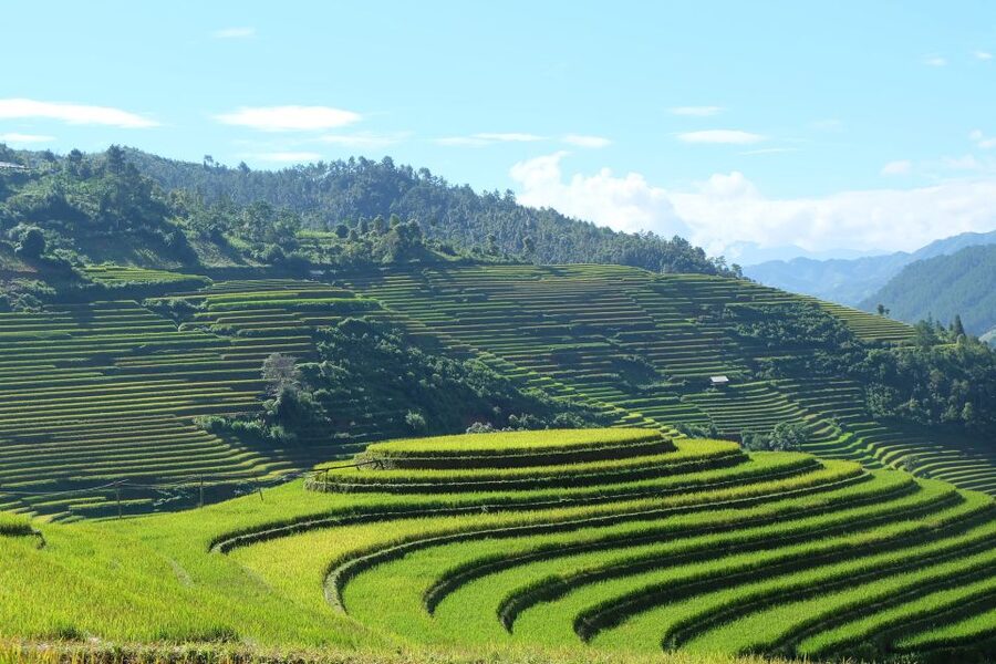From Hanoi: Explore Sapa 2-Day Tour - Cat Cat Village and the Black Hmong valley walk