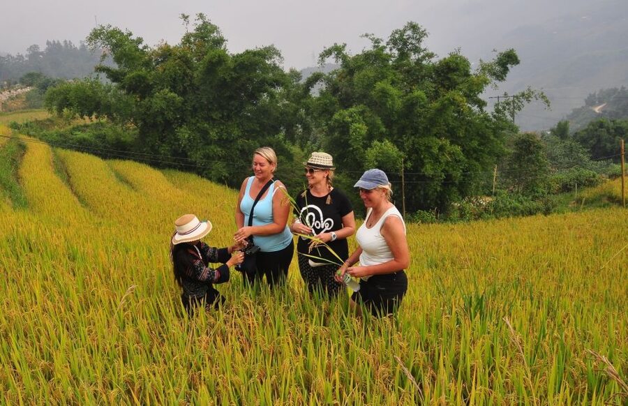 From Hanoi: Explore Sapa 2-Day Tour - Muong Hoa Valley, Lao Chai, and Ta Van