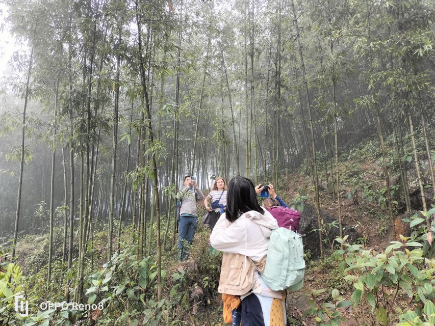 From Hanoi: Guided 2-Day Tour of Sa Pa with Lunch & Dinner - Evening with a Dzay family in Ta Van