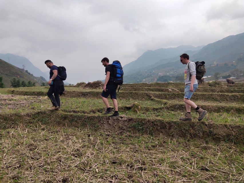 From Hanoi: Guided 2-Day Tour of Sa Pa with Lunch & Dinner - Day two: bamboo forest, rice paddies, and Giang Ta Chai