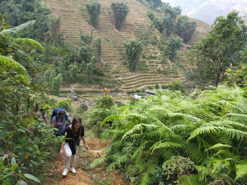 From Hanoi: Guided 2-Day Tour of Sa Pa with Lunch & Dinner - What is included, and what is not