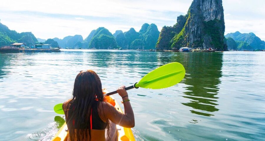 From Hanoi: Halong Bay Day Trip with Lunch and Transfers - Who will enjoy this tour most
