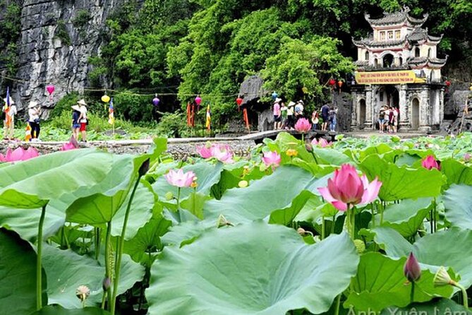 From Hanoi: Hoa Lu, Tam Coc, and Mua Cave Scenic Day Trip - Lunch, bottled water, and the value of an all-in price