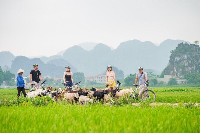 From Hanoi: Hoa Lu - Tam Coc boating - Cycling & Mua Cave visit - The five things to know before you go