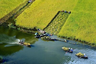 Hoa Lu – Tam Coc boating – Cycling & Mua Cave visit