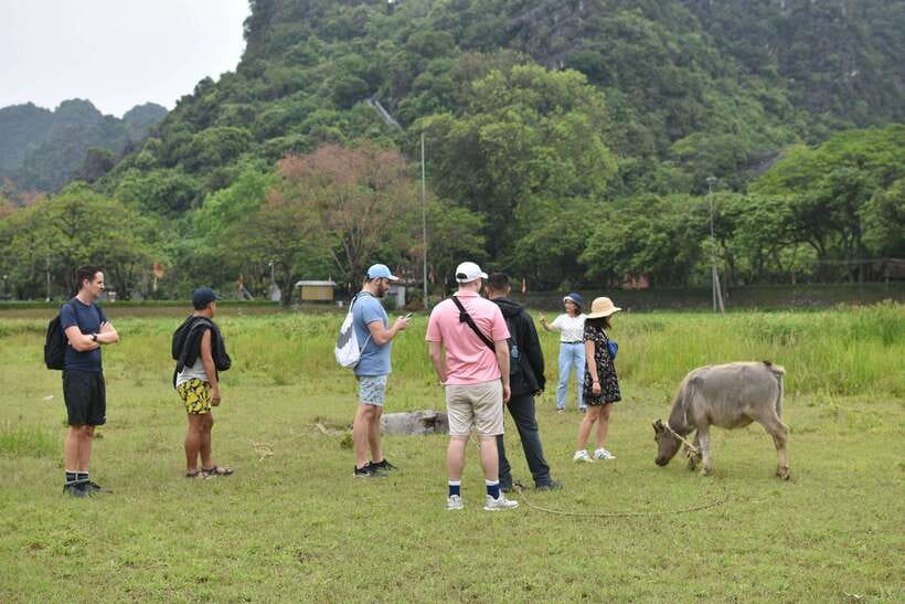 From Hanoi: Ninh Binh, Hoa Lu, Tam Coc, & Mua Cave Day-Trip - How the guides shape the day