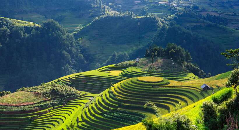 From Hanoi: Premium 3-Day Sapa Adventure with DCAR Limousine - Day 1: Hanoi to Sapa and the first village walk