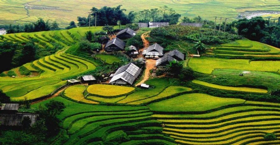 From Hanoi: Sapa 3-Day Medium Trek and Limousine Trip - Day two: Muong Hoa Valley, Y Linh Ho, Lao Chai, and Ta Van