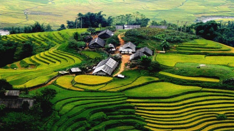 From Hanoi: Sapa 3-Day Medium Trek and Limousine Trip - Day one: Hanoi to Sapa and Sin Chai village