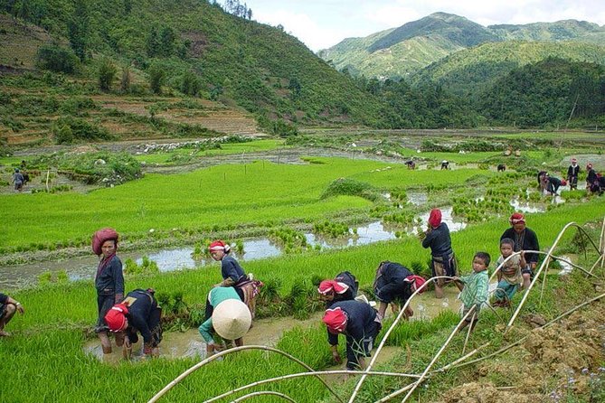 From Hanoi: Sapa Real Experience 2-Day 1 Night at Ethnic Homestay - Why this Sapa trip feels different