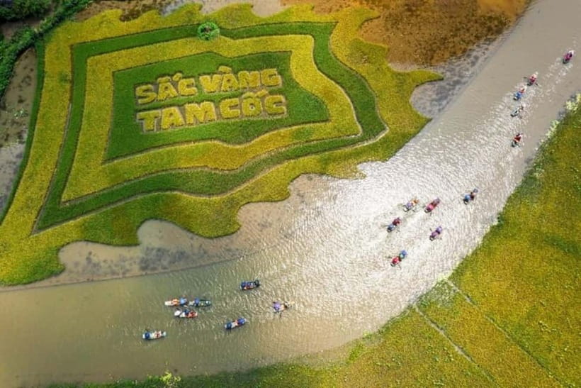 From Hanoi: Tam Coc Boat Trip and Hoa Lu & Mua Cave Tour - Hoa Lu, Vietnam’s 10th-century capital