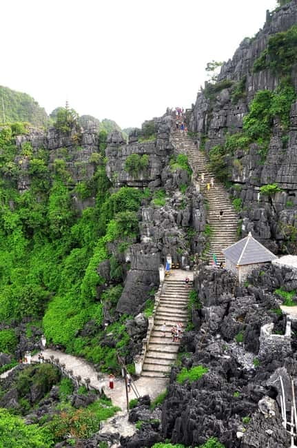 From Hanoi: Tam Coc Boat Trip and Hoa Lu & Mua Cave Tour - Who will enjoy this Ninh Binh day trip