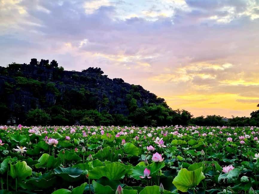 From Hanoi: Trang An eco-tourism - Hoa Lu ancient & Mua Cave - How the schedule feels in real life
