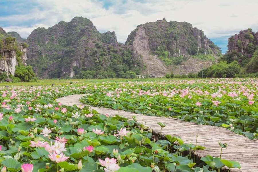 From Hanoi: Trang An eco-tourism - Hoa Lu ancient & Mua Cave - The guides and group experience