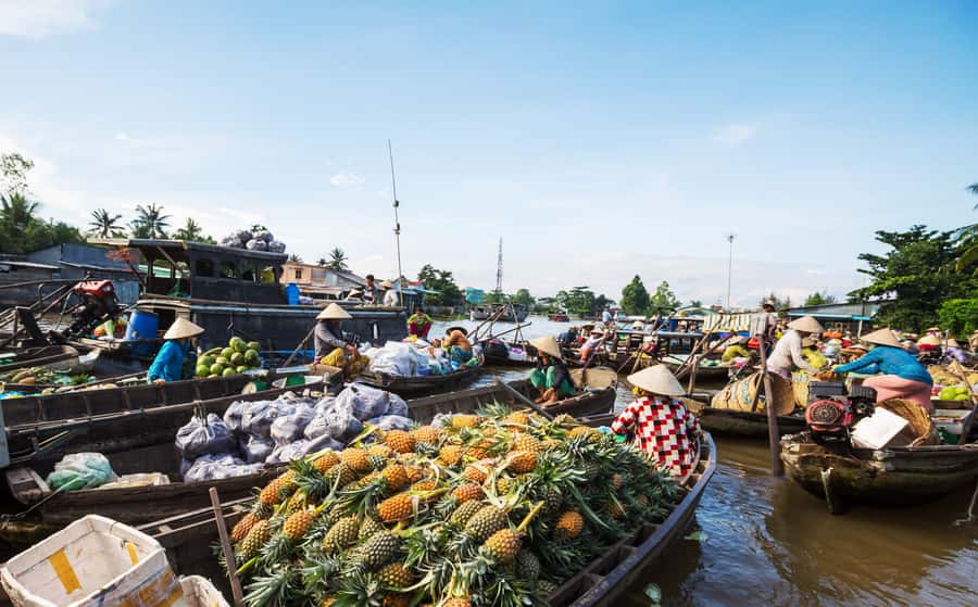 From HCM: Mekong Delta & Cai Rang Floating Market 2-Day Tour - Vinh Trang Pagoda and the road south