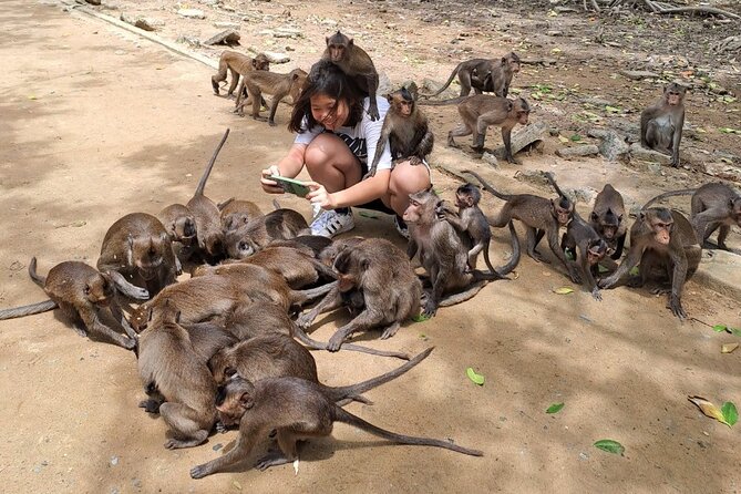 From Ho Chi Minh: Can Gio Trek – Monkey Island & Crocodile Farm - Rung Sac Military Base and the marshland war story
