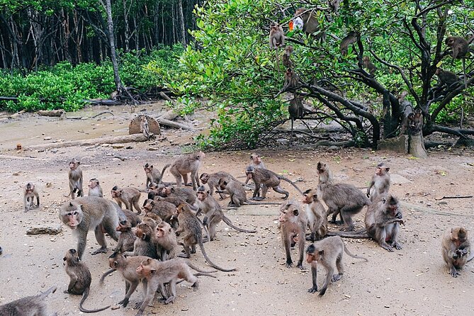 From Ho Chi Minh: Can Gio Trek – Monkey Island & Crocodile Farm - Who will enjoy this full-day outing