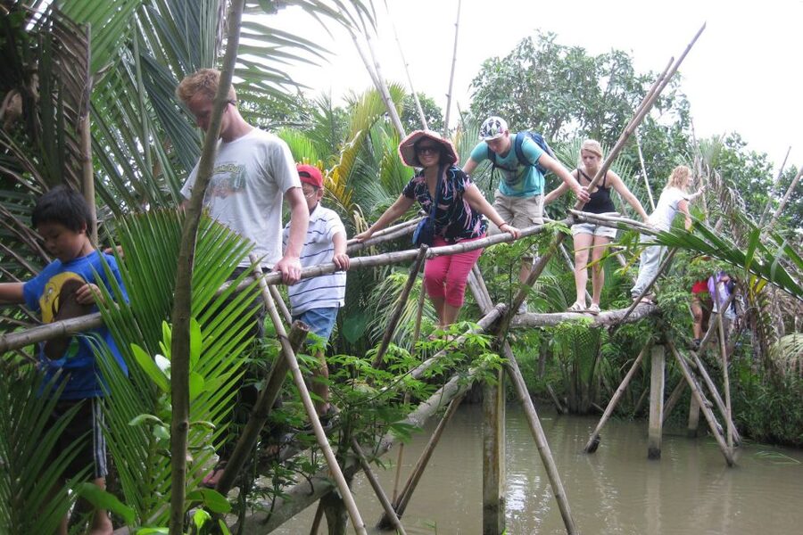 From Ho Chi Minh City: Mekong Delta VIP Tour by Limousine - Orchard paths, fruit, and honey tea