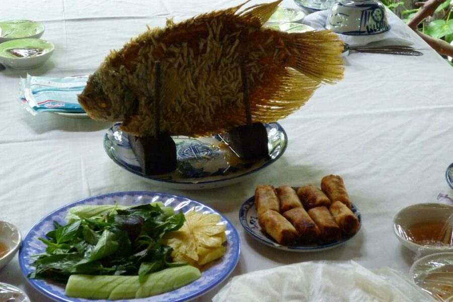 From Ho Chi Minh City: Mekong Delta VIP Tour by Limousine - Vietnamese lunch and a useful break