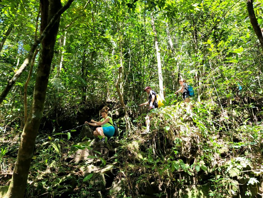 From Hue: Bach Ma National Park Hiking Day Trip with Pickup - Hai Vong Dai at 1,448 meters