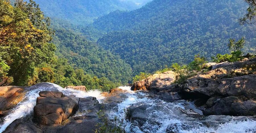 From Hue/Da Nang/Hoi An: Bach Ma National Park Trekking Tour - Hai Vong Dai Peak and the wide Central Vietnam view