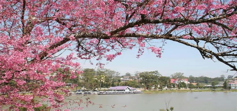 From Nha Trang: Best Seller Top Site Luxury Da Lat City Trip - Why Da Lat makes sense as a day trip from Nha Trang
